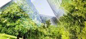 Sustainable Construction Solutions | LEXAN™ sheets | POLYVANTIS