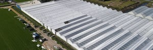 Project Greenhouse Woubrugge