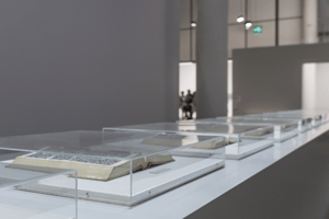 Museum glazing LEXAN